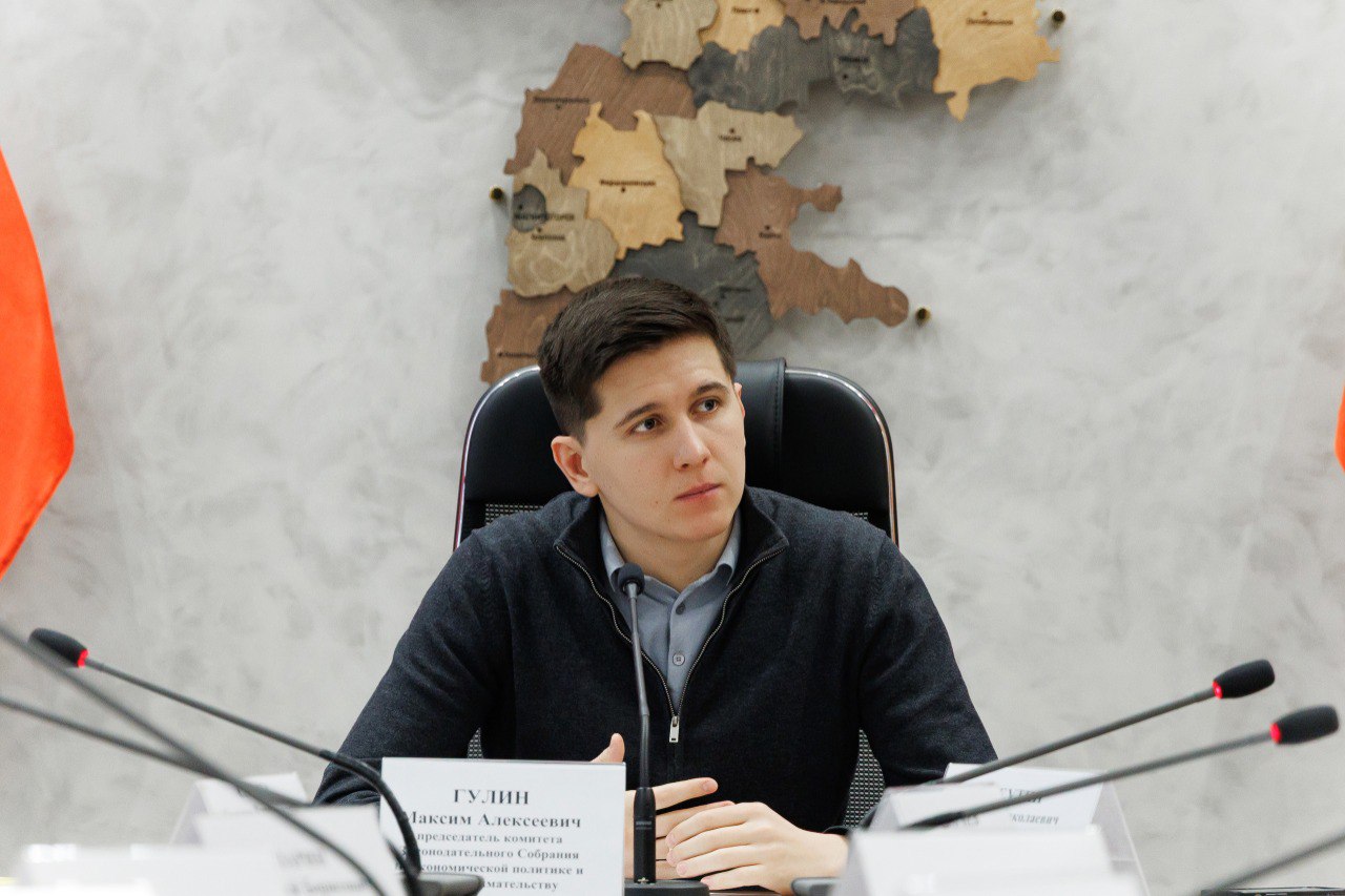 Максим Гулин о заседании Общественного совета при Законодательном Собрании по предпринимательству и инвестиционной деятельности