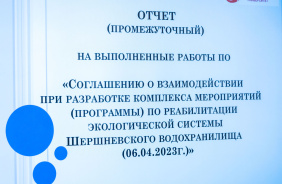 Фото Д. Куткина