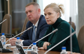 Заседание комитета по законодательству, государственному строительству и местному самоуправлению
