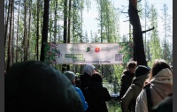 В Челябинском городском бору высадили саженцы сосны