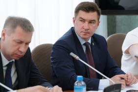 Комитет по социальной политике поддержал два законопроекта, разработанных по инициативе губернатора Челябинской области