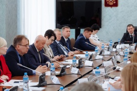 Комитет по социальной политике поддержал два законопроекта, разработанных по инициативе губернатора Челябинской области