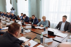 Комитет по бюджету и налогам рассмотрел итоги реализации национальных проектов на территории Челябинской области за 2022 год