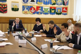 Информацию об исполнении в 2022 году государственной программы Челябинской области «Реализация государственной национальной политики в Челябинской области»  рассмотрел комитет по молодежной политике, культуре и спорту