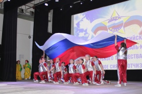 «Звёздное сияние Отчизны»