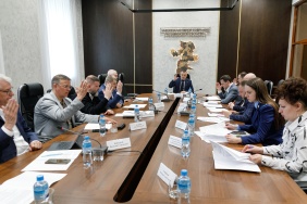 Заседание комитета по экологии и природопользованию