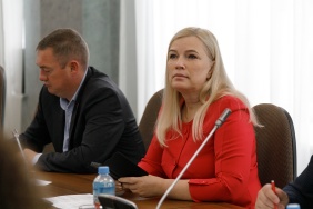 Заседание комитета по законодательству, государственному строительству и местному самоуправлению